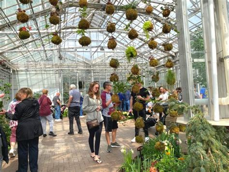 frederik meijer gardens butterflies